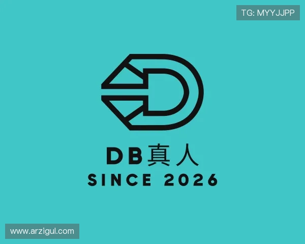 介绍DB真人